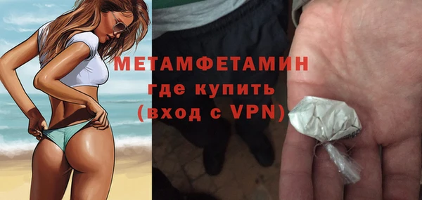 шишки Белокуриха
