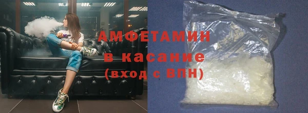 шишки Белокуриха