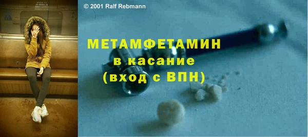 шишки Белокуриха