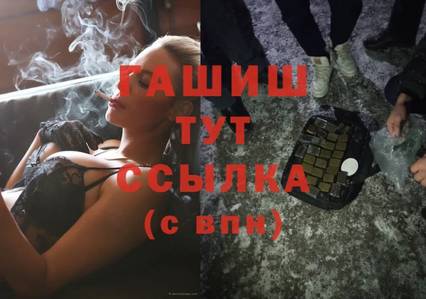 шишки Белокуриха
