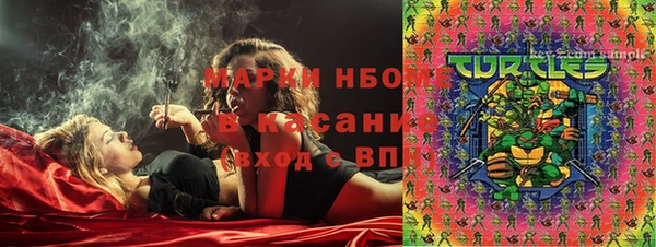 шишки Белокуриха
