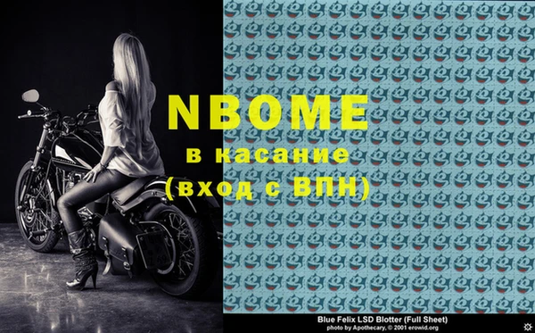 шишки Белокуриха