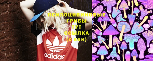ECSTASY Кинешма