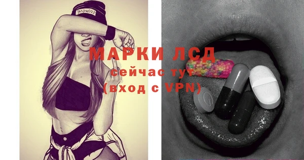 шишки Белокуриха
