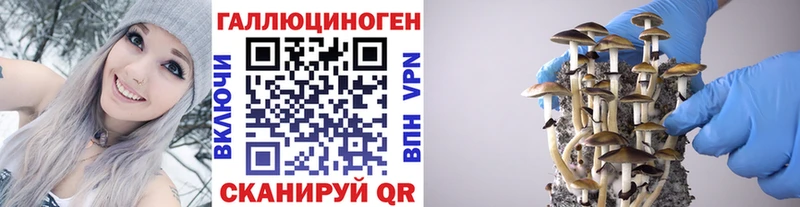 darknet состав  Богородицк  Галлюциногенные грибы Cubensis 